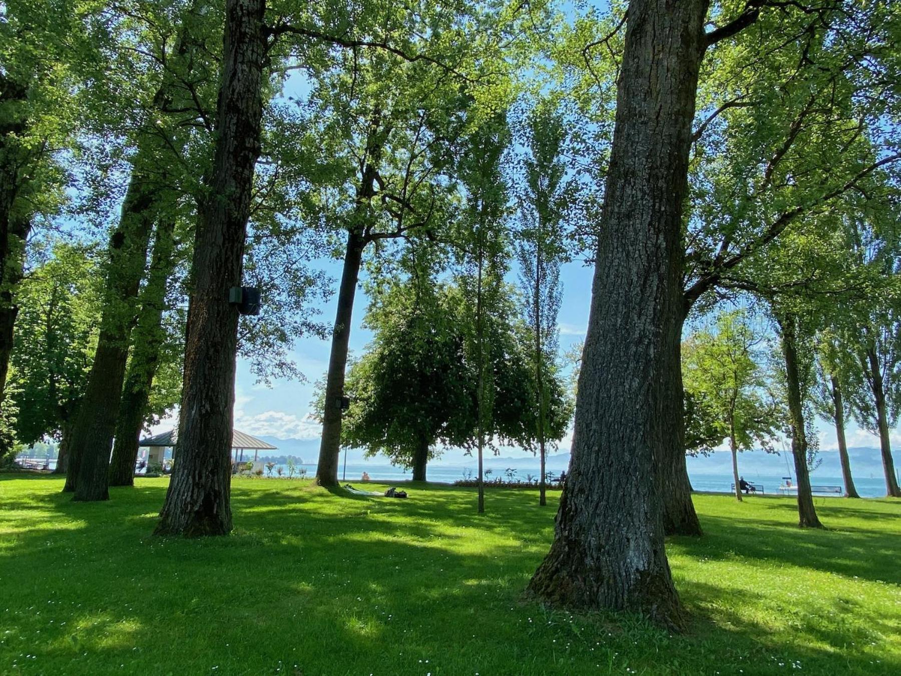 Ferienwohnung Niedan Kressbronn am Bodensee Exterior foto